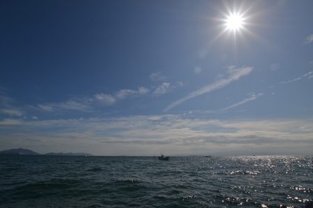 アジアマリンサービス 釣果