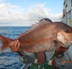 作十丸 釣果