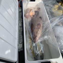 第八大安丸 釣果