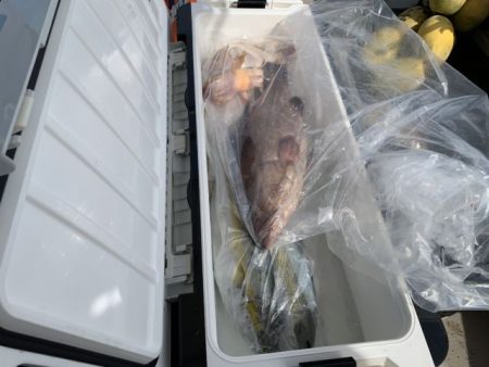 第八大安丸 釣果