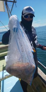 恵比寿丸(兵庫) 釣果