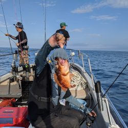 オーシャンズ 京都 釣果