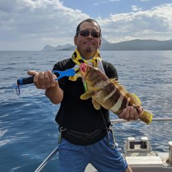 オーシャンズ 京都 釣果