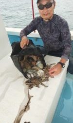 恵比寿丸（兵庫） 釣果