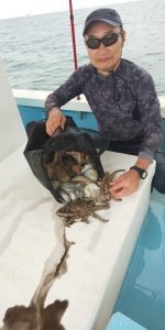 恵比寿丸（兵庫） 釣果