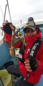 恵比寿丸（兵庫） 釣果