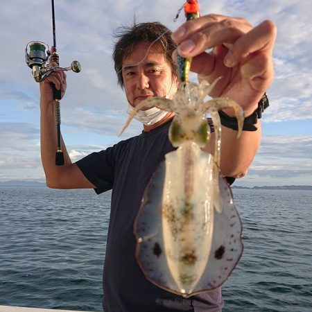 フィッシングボートACE(エース) 釣果