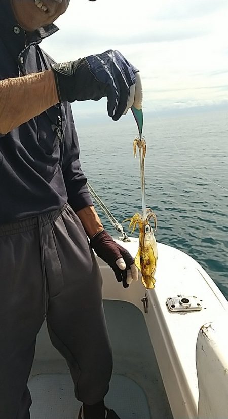 金剛丸 釣果