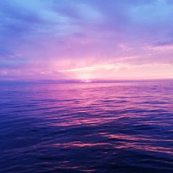 フィッシングボート空風（そらかぜ） 釣果