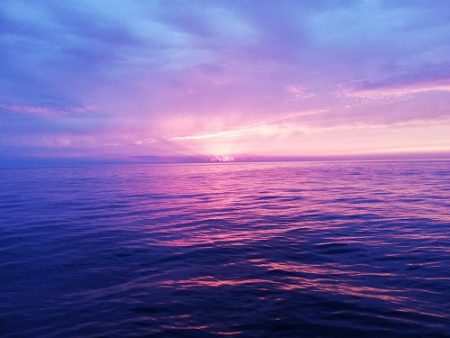 フィッシングボート空風（そらかぜ） 釣果