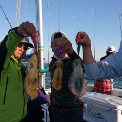 フィッシングボートACE（エース） 釣果