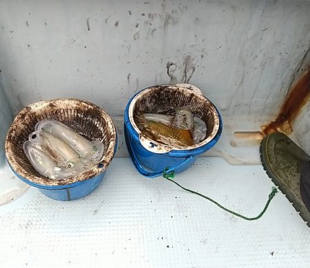 金剛丸 釣果