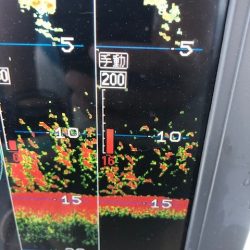 深川 吉野屋 釣果