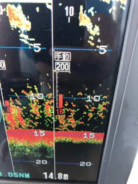 深川 吉野屋 釣果