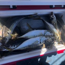 深川 吉野屋 釣果