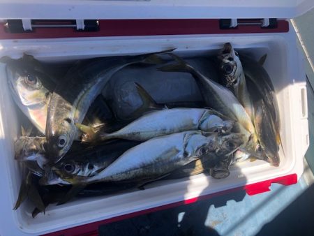 深川 吉野屋 釣果