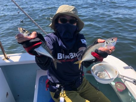 深川 吉野屋 釣果