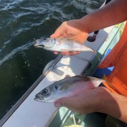 深川 吉野屋 釣果