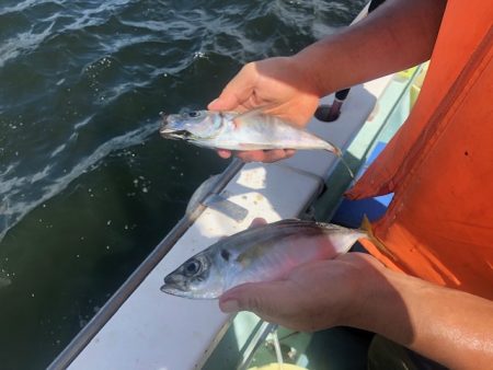 深川 吉野屋 釣果