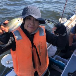 深川　吉野屋 釣果