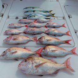 フィシングボートAir(エアー) 釣果