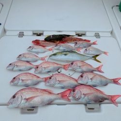 フィシングボートAir(エアー) 釣果