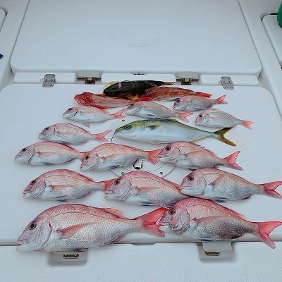 フィシングボートAir(エアー) 釣果