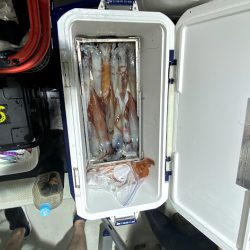 オーシャンズ　京都 釣果