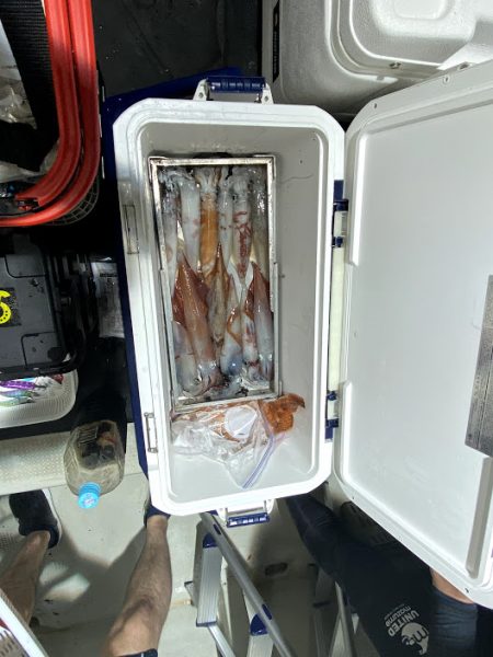 オーシャンズ　京都 釣果