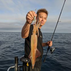 オーシャンズ 京都 釣果