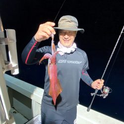 オーシャンズ　京都 釣果