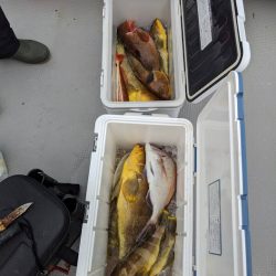 オーシャンズ 京都 釣果