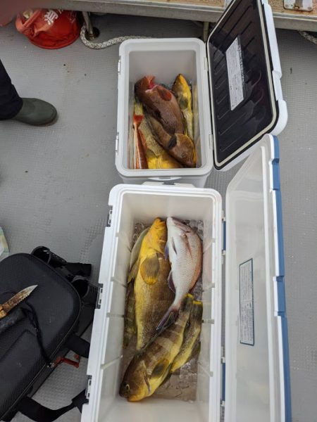 オーシャンズ 京都 釣果