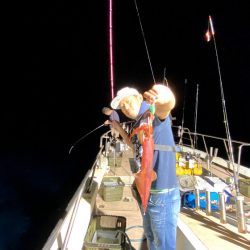 オーシャンズ　京都 釣果