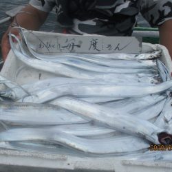 まとばや 釣果