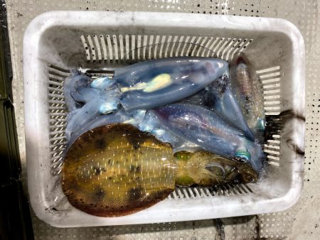 オーシャンズ　京都 釣果