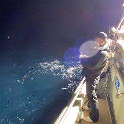 オーシャンズ　京都 釣果