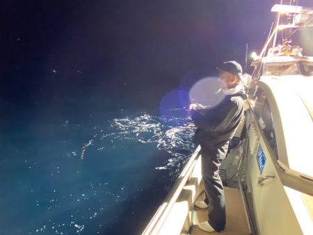 オーシャンズ　京都 釣果