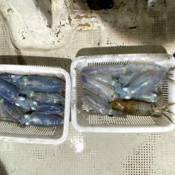 オーシャンズ　京都 釣果