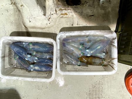 オーシャンズ　京都 釣果