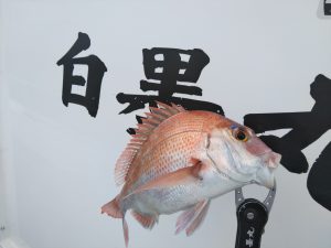白墨丸 釣果