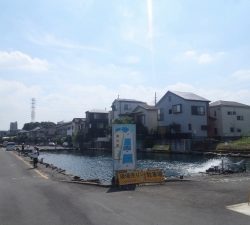 朝霞ガーデン 釣果