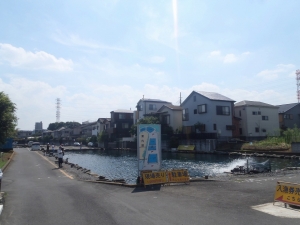 朝霞ガーデン 釣果