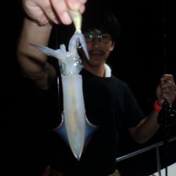 Aquanaut（アクアノート） 釣果