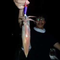 Aquanaut（アクアノート） 釣果