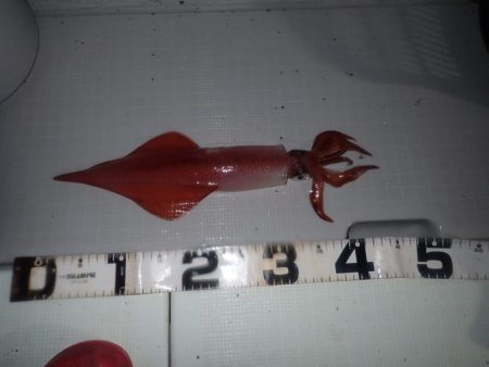 Aquanaut（アクアノート） 釣果