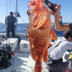 Aquanaut(アクアノート) 釣果