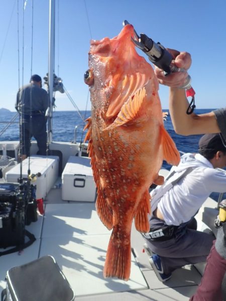 Aquanaut(アクアノート) 釣果