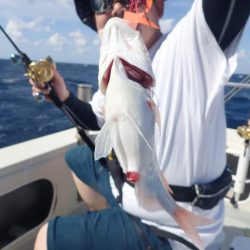 Aquanaut(アクアノート) 釣果