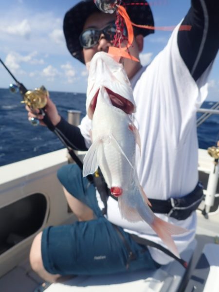 Aquanaut(アクアノート) 釣果